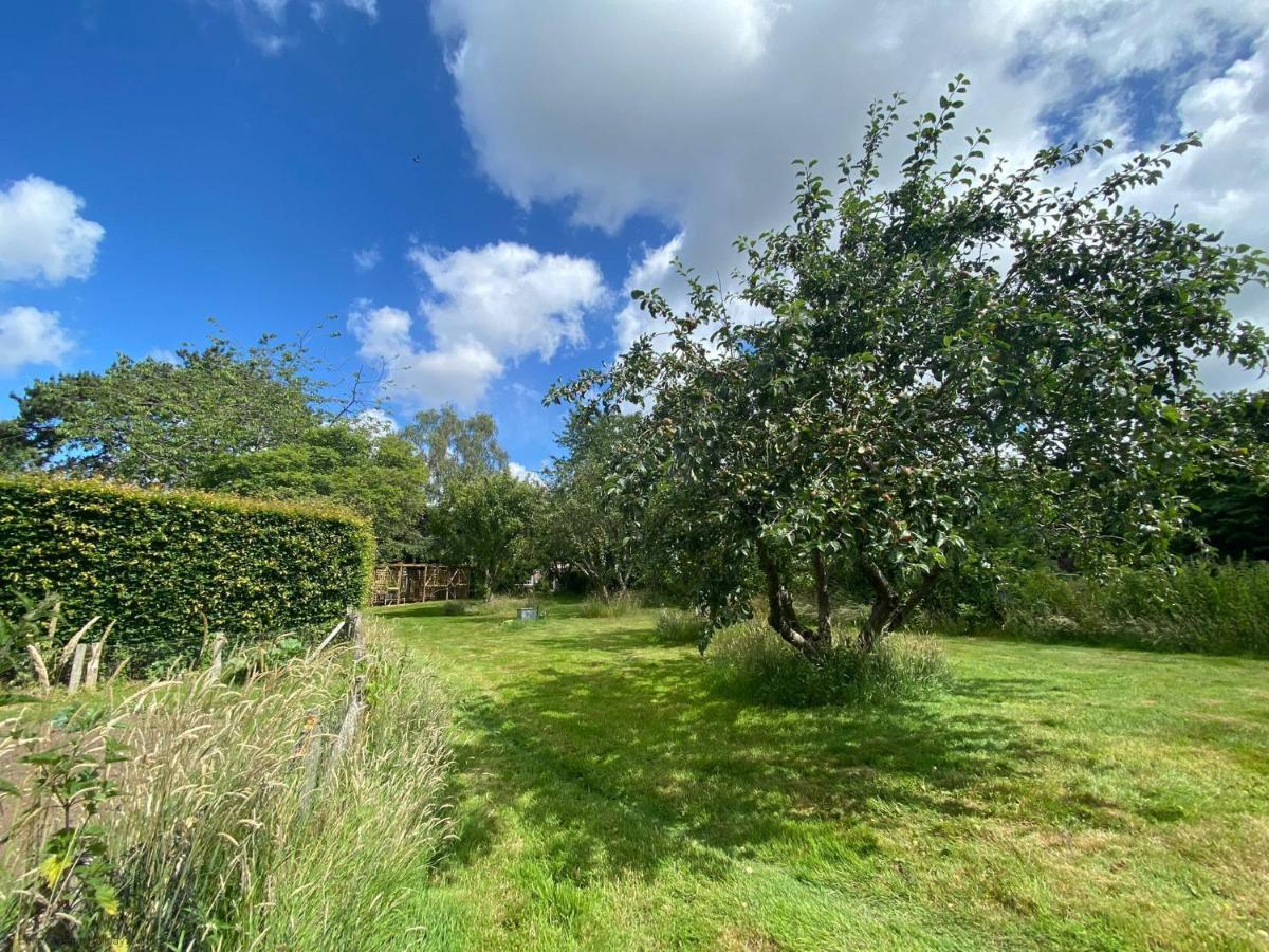 Vane Cottage - Lewes Dış mekan fotoğraf