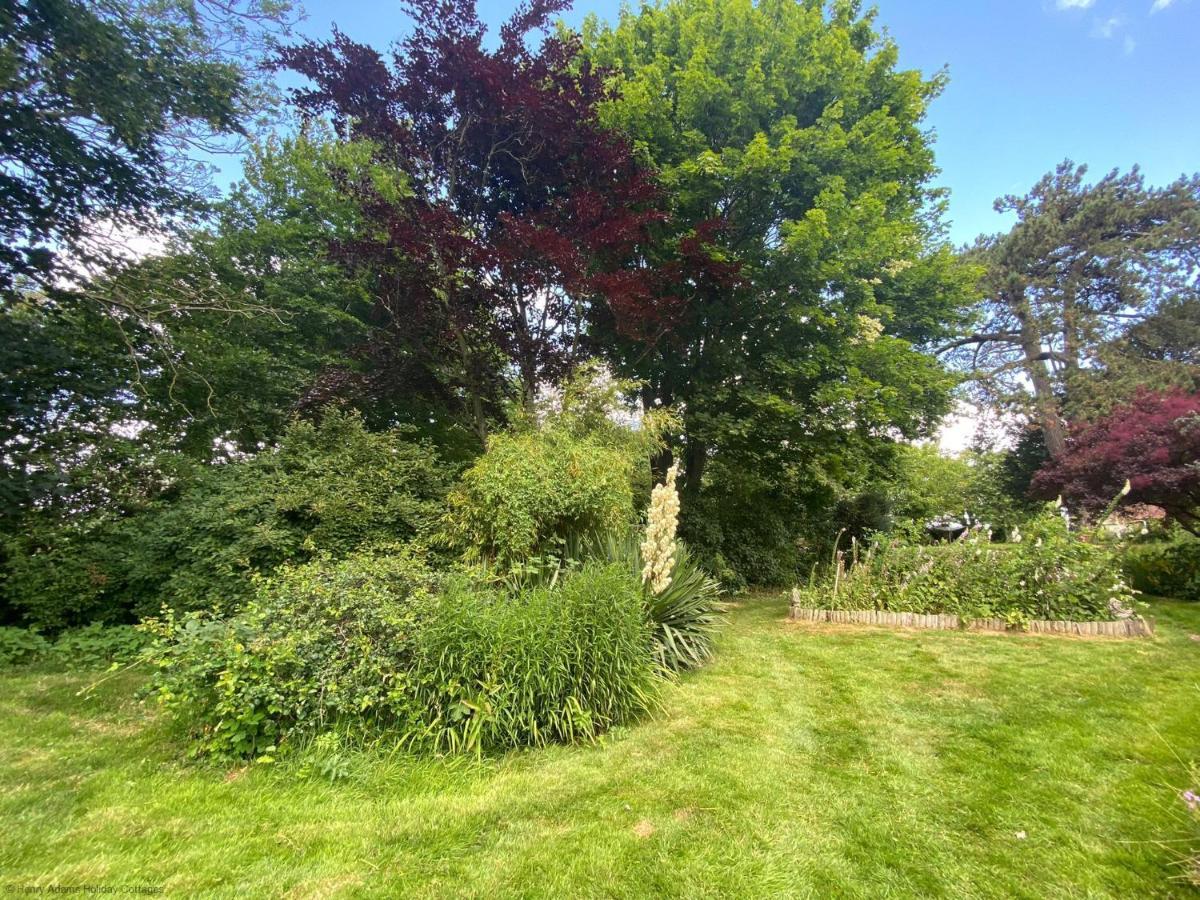 Vane Cottage - Lewes Dış mekan fotoğraf