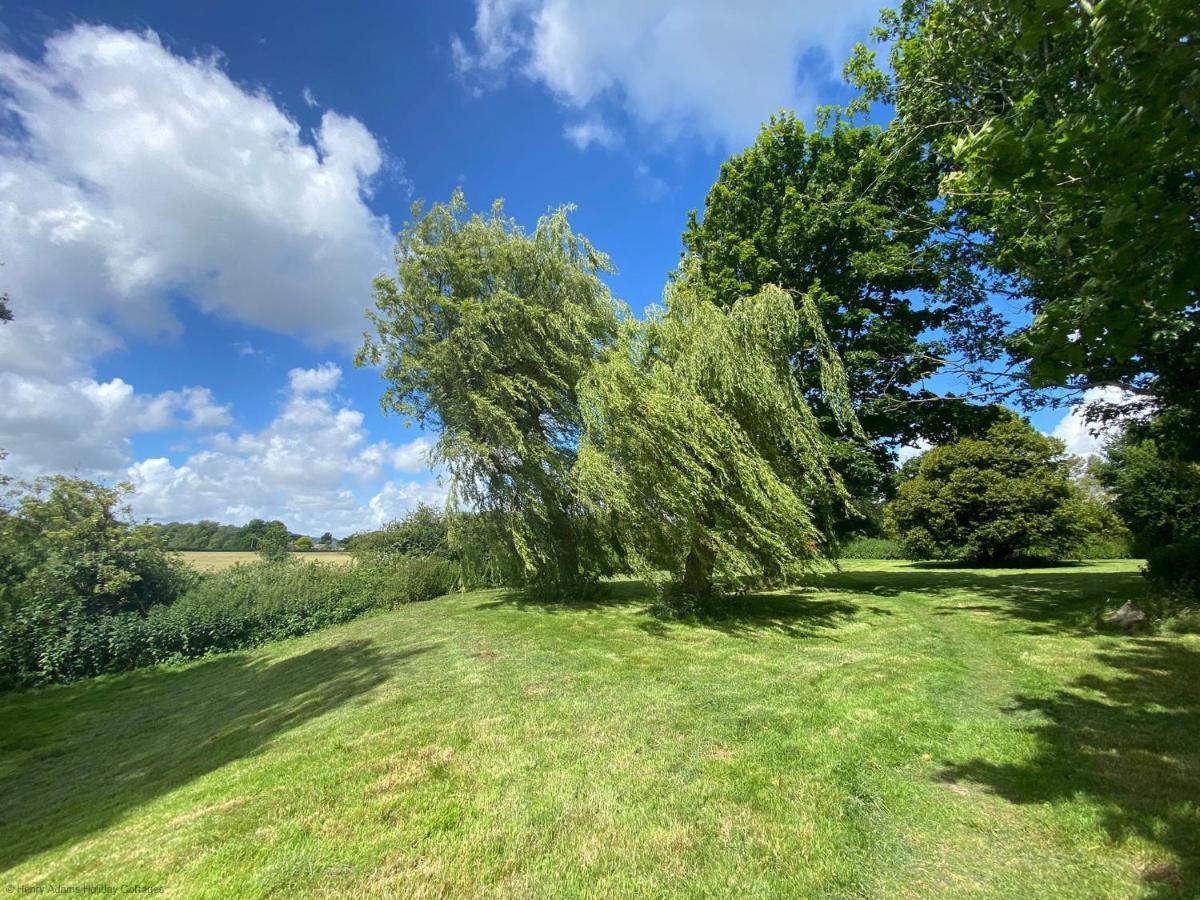 Vane Cottage - Lewes Dış mekan fotoğraf