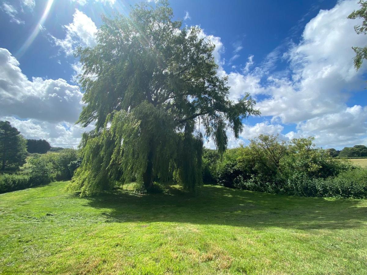 Vane Cottage - Lewes Dış mekan fotoğraf
